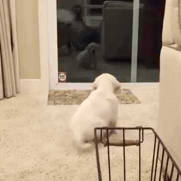 자기 보고 놀람.gif | 인스티즈