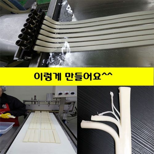 모리쉬 이미지
