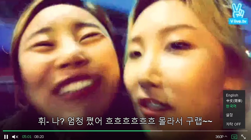 한명의 마마무 청각장애인의 글로 시작된 V앱 한글자막 탄생 이야기 | 인스티즈