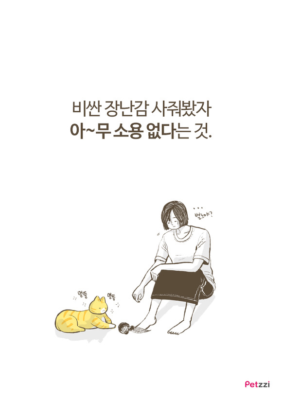 고양이 키우다 보면 느끼는 고양이의 소소한 취향.jpg | 인스티즈