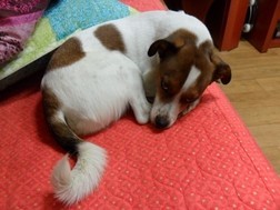 엄마사랑 이미지