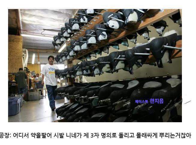 스베누 사태 간단 요약 | 인스티즈