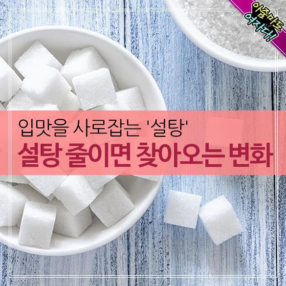 설탕 이미지