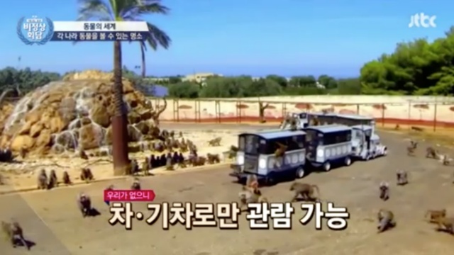[비정상회담] 동물원이 없다는 이탈리아 | 인스티즈