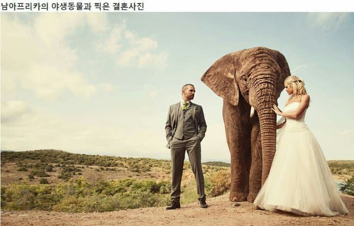 263F933555E9619821FBBB