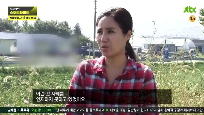 개 50여마리를 담뱃불로 지지고 던지고 매질해 살해한 남고생 7명.jpg | 인스티즈
