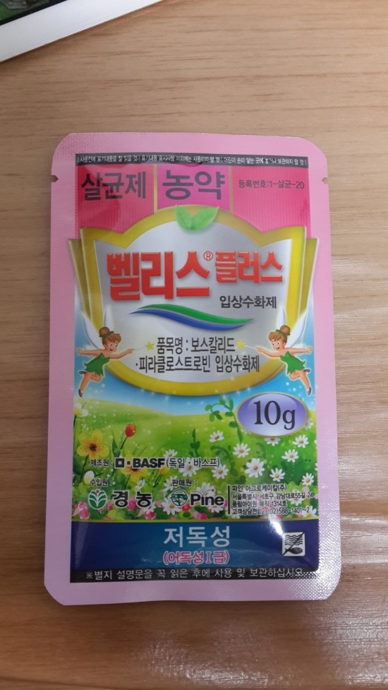 벨리스 이미지