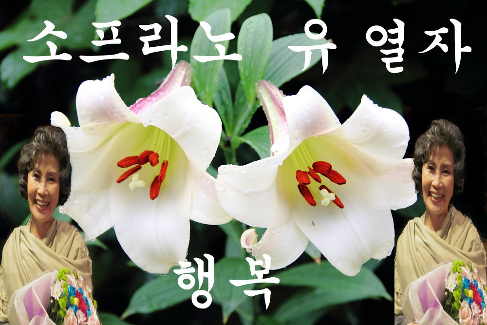 신아리랑 이미지