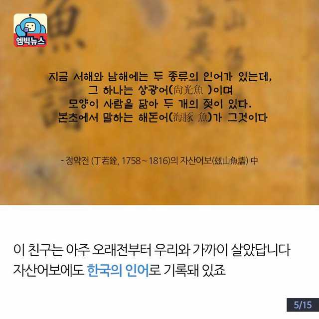 한강에 돌고래가 산다? | 인스티즈