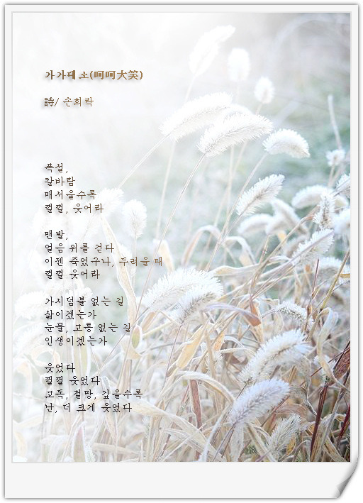 가가대소 이미지