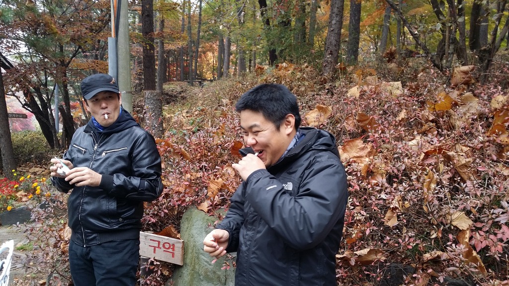 속리산토종닭 이미지