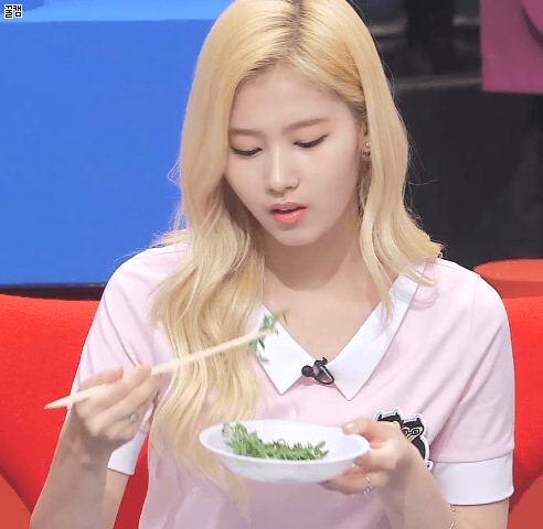 [트와이스] 고기먹는줄 알았다가 풀만 먹다 간 사나 .gif | 인스티즈