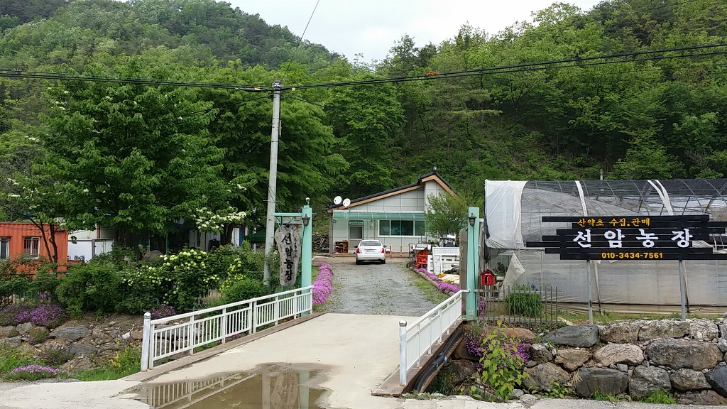 자연산약초 이미지
