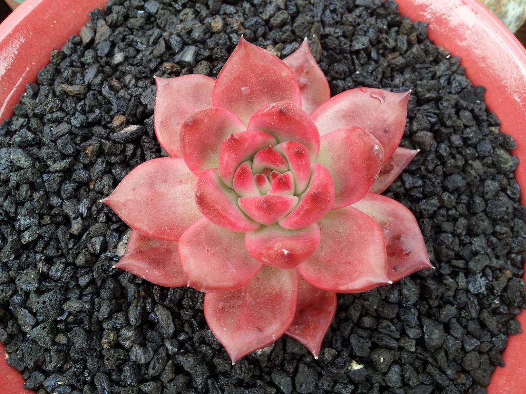 수다방 이미지