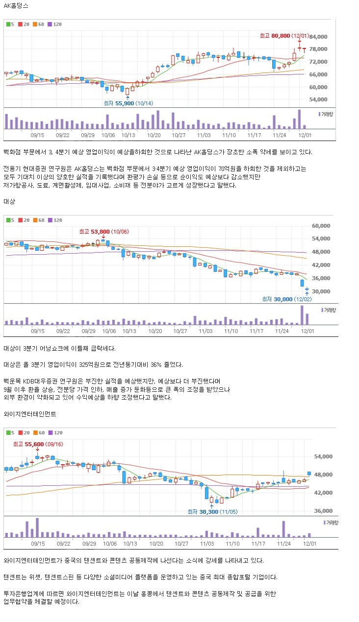 와이지홀딩스 이미지