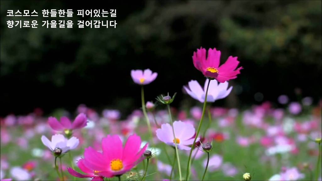 훈이미지 이미지
