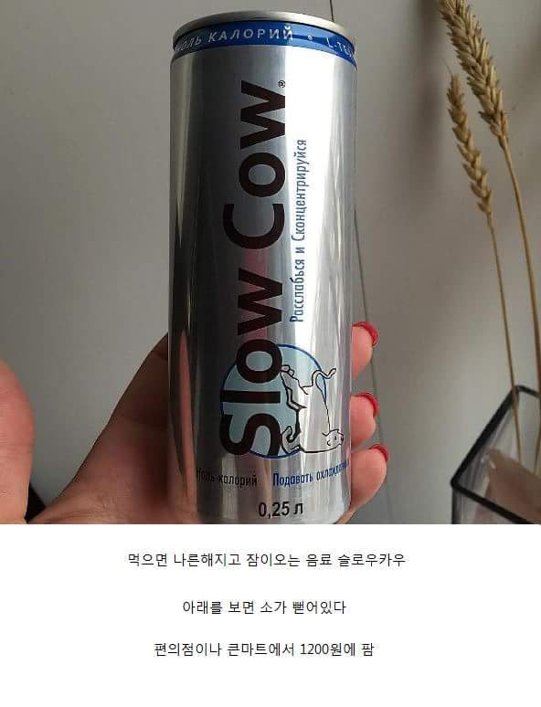 마시면 나른해지고 잠이오는 음료수 | 인스티즈