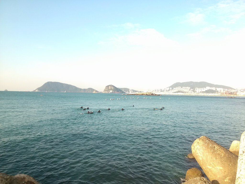 굴섬 이미지