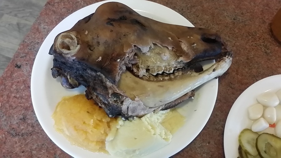 아이슬란드에서 먹은 충격적인 양머리 요리.jpg (혐오주의) | 인스티즈