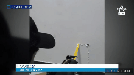 새끼 고양이 구출 작전.jpgif | 인스티즈