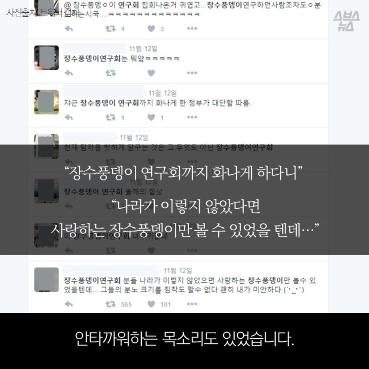  광화문 개념충 장수풍뎅이 연구회 | 인스티즈