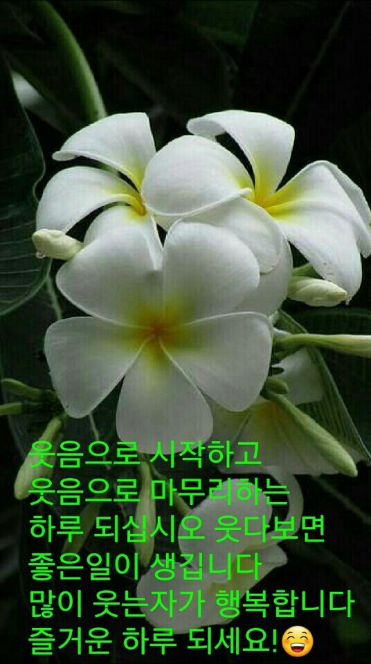 멋진하루 이미지