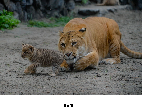 생명의 신비.jpg | 인스티즈