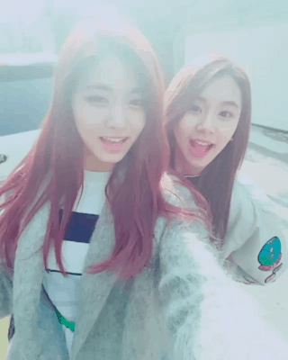 트와이스 인스타그램 | 인스티즈