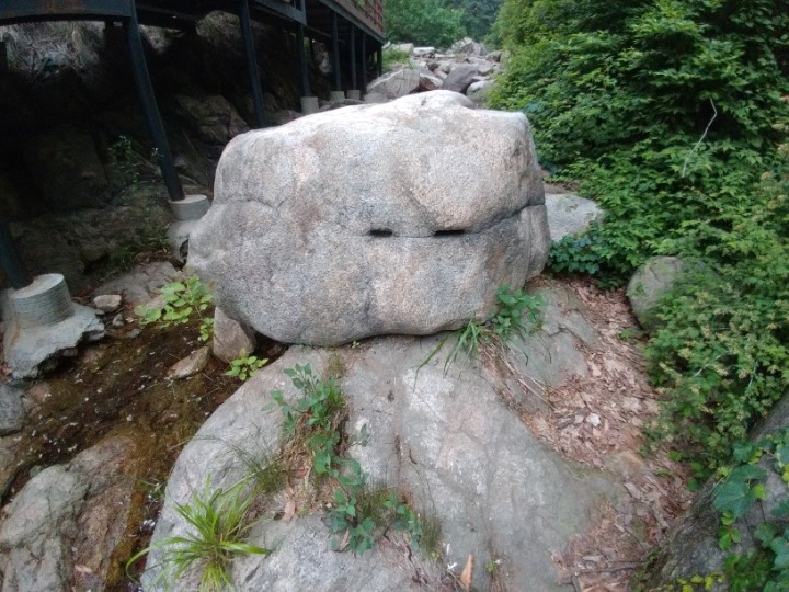 아차돌 이미지