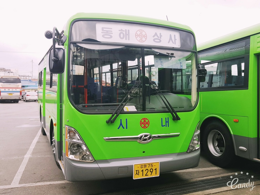동해상사 이미지