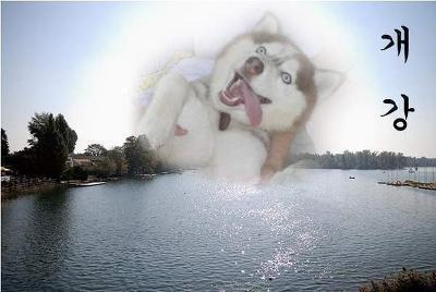 원룸 층간소음으로 매일 밤마다 눈물훔치던 어린 양이 양옆집과 윗집 조져불고 온 이야기 (부제 : 내가 이 구역의 미이란다) + 스크랩풀어쪙!!! | 인스티즈