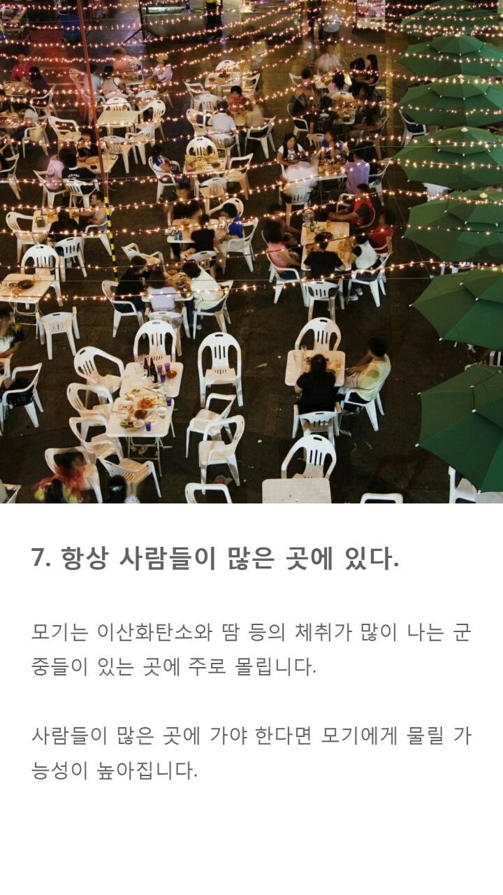 모기에게 잘 물리는 사람들 특징 9가지 | 인스티즈