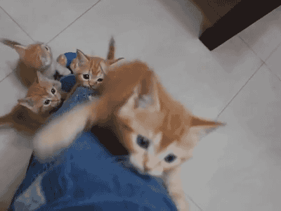 이 다리는 이제 쓸 수 없습니다.gif | 인스티즈