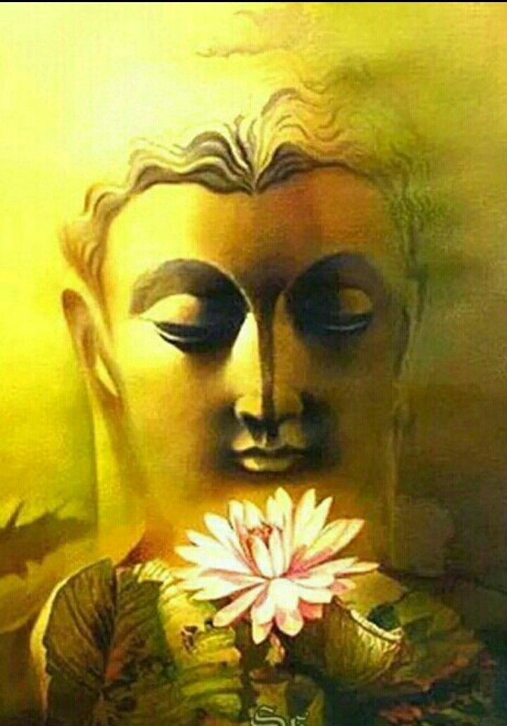 정답은꽃 이미지