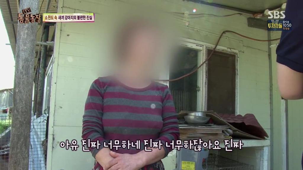 충격과 공포의 오늘자 동물농장(혐오주의) | 인스티즈