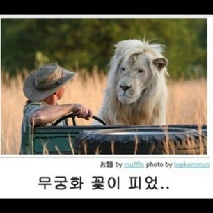 굽굽 이미지