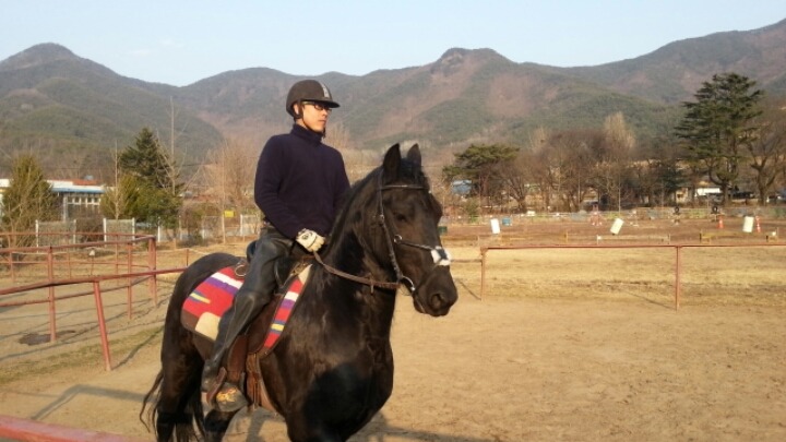프리지안 이미지