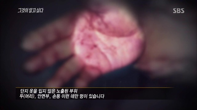 [그것이알고싶다] 두 얼굴의 여인 - 15년간의 거짓말 3 | 인스티즈