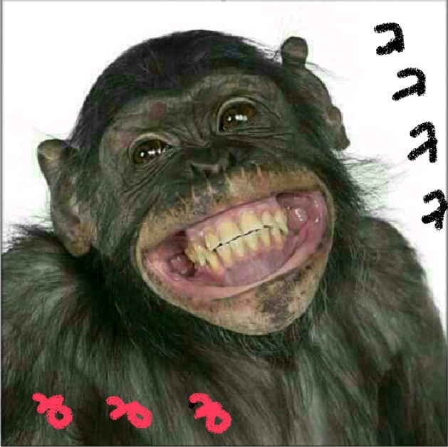 삼남매 이미지