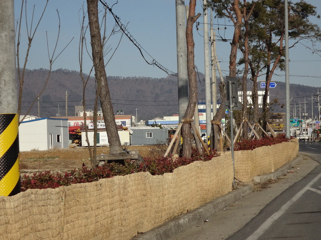 수목관리 이미지