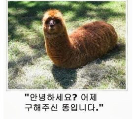 인생이 지치고 힘들때 보는 짤 | 인스티즈