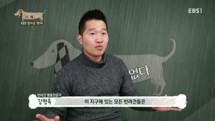 공격적인 반려견이 되는 이유 2부.jp | 인스티즈