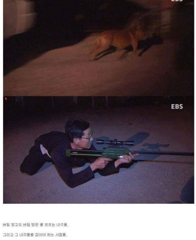 나는 아직 살수 있는데 왜 죽으라하나요 | 인스티즈