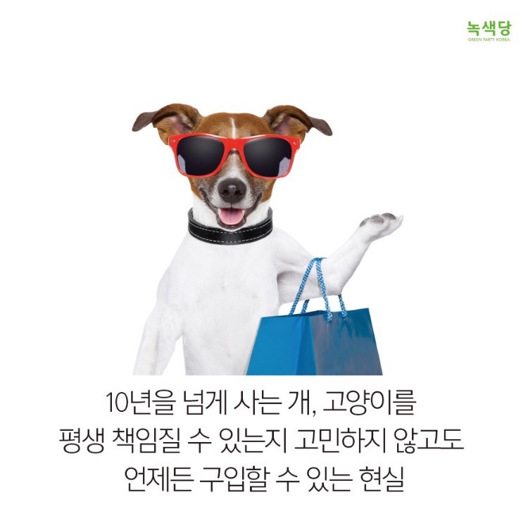 강아지 키우고 싶으세요?? 인간의 잔인함이 드러나는 강아지 공장 | 인스티즈