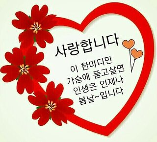 정담은 이미지
