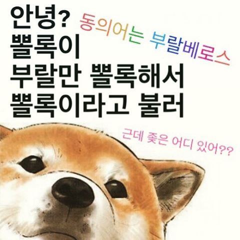 인스타그램의 계정ㅋㅋㅋㅋㅋ | 인스티즈