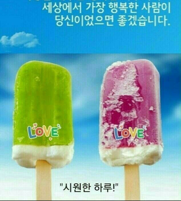 늘처음처럼 이미지