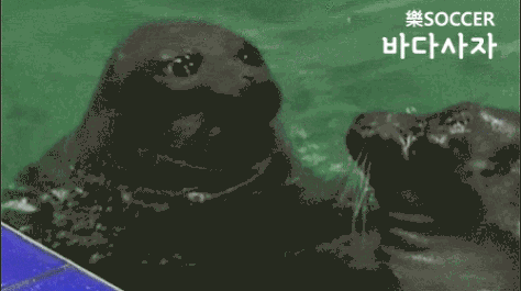 산책 나가는 방법 | 인스티즈