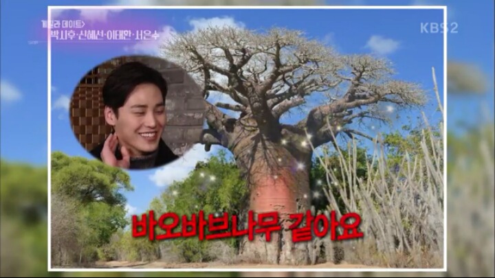 황금빛 내인생 시청자들이 배우들에게 궁금한거 | 인스티즈