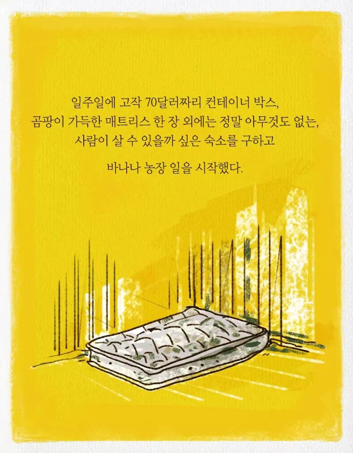카이스트 다니다가 바나나 농장에 취직한 이유 | 인스티즈